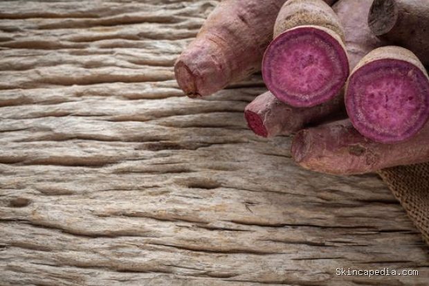 Perbedaan ube dan taro/Foto: Magnific.com/jcomp Ube dan taro sama-sama digunakan dalam dessert, tapi keduanya berasal dari tanaman yang berbeda dan memiliki karakteristik tersendiri.