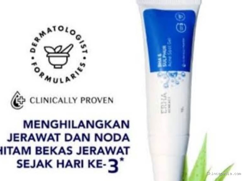 Review Jujur ERHA Acneact Acne Spot Gel: Ampuh Basmi Jerawat?