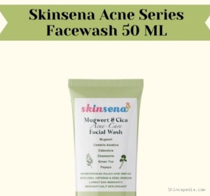 Skinsena Mugwort & Cica: Cek Ingredients Rahasia Atasi Jerawat