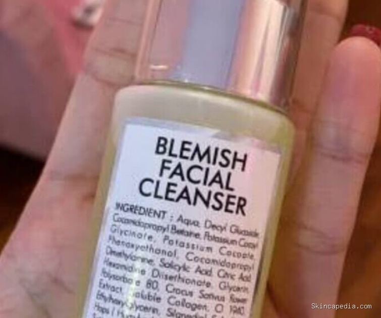 Vavl Blemish Facial Cleanser: Cek Ingredients & Manfaatnya