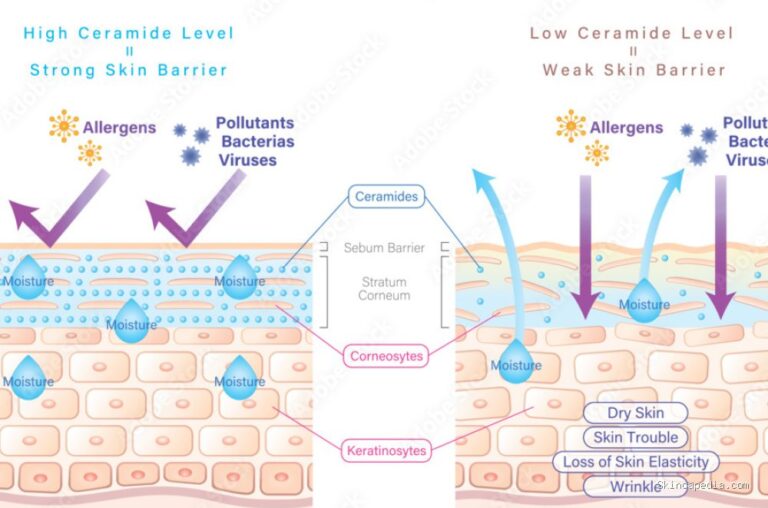 Photo by stock.adobe.com - Manfaat Ceramide untuk Memperbaiki Skin Barrier yang Rusak