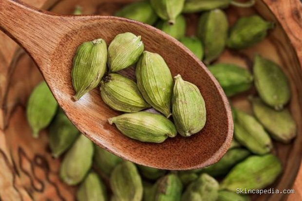 Kapulaga untuk membantu meredakan batuk dan hidung tersumbat/Foto: Pexels.com/Victoria Bowers Kapulaga memiliki sifat antibakteri dan ekspektoran yang dapat membantu mengatasi lendir di saluran pernapasan. Rempah ini juga berpotensi membantu meredakan sakit tenggorokan dan hidung tersumbat.