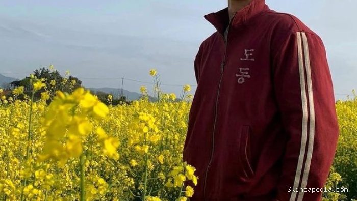 Park Bo Gum kala berperan sebagai Yang Gwan Sik di drakor When Life Gives You Tangerines./Foto: Instagram/@bogummy Park Bo Gum kala berperan sebagai Yang Gwan Sik di drakor When Life Gives You Tangerines./Foto: Instagram/@bogummy