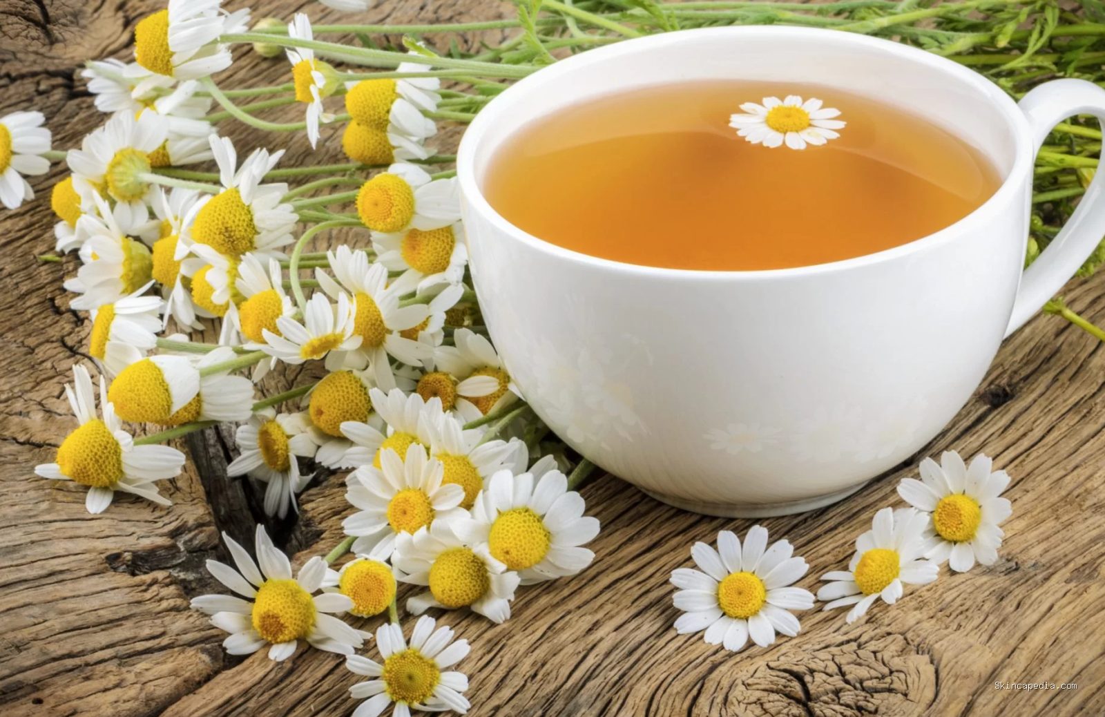 Photo by reps-id.com - Manfaat Chamomile Tea untuk Mengatasi Kemerahan pada Kulit