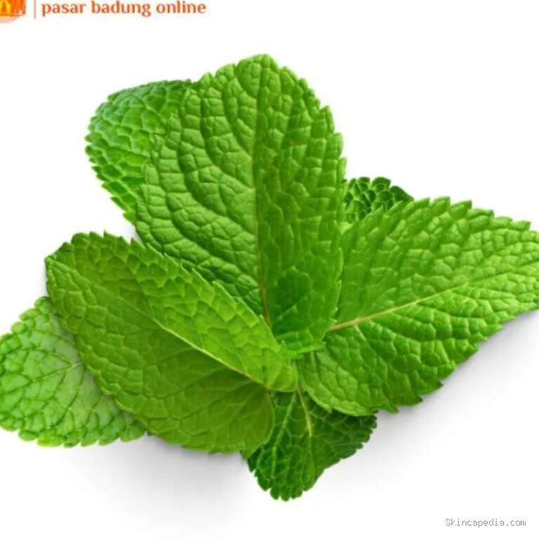 Photo by blibli.com - Manfaat Daun Mint untuk Kesehatan Kulit dan Cara Menggunakannya