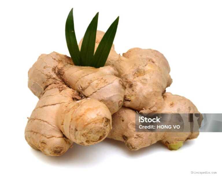Photo by istockphoto.com - Manfaat Jahe untuk Melancarkan Sirkulasi Darah di Kulit