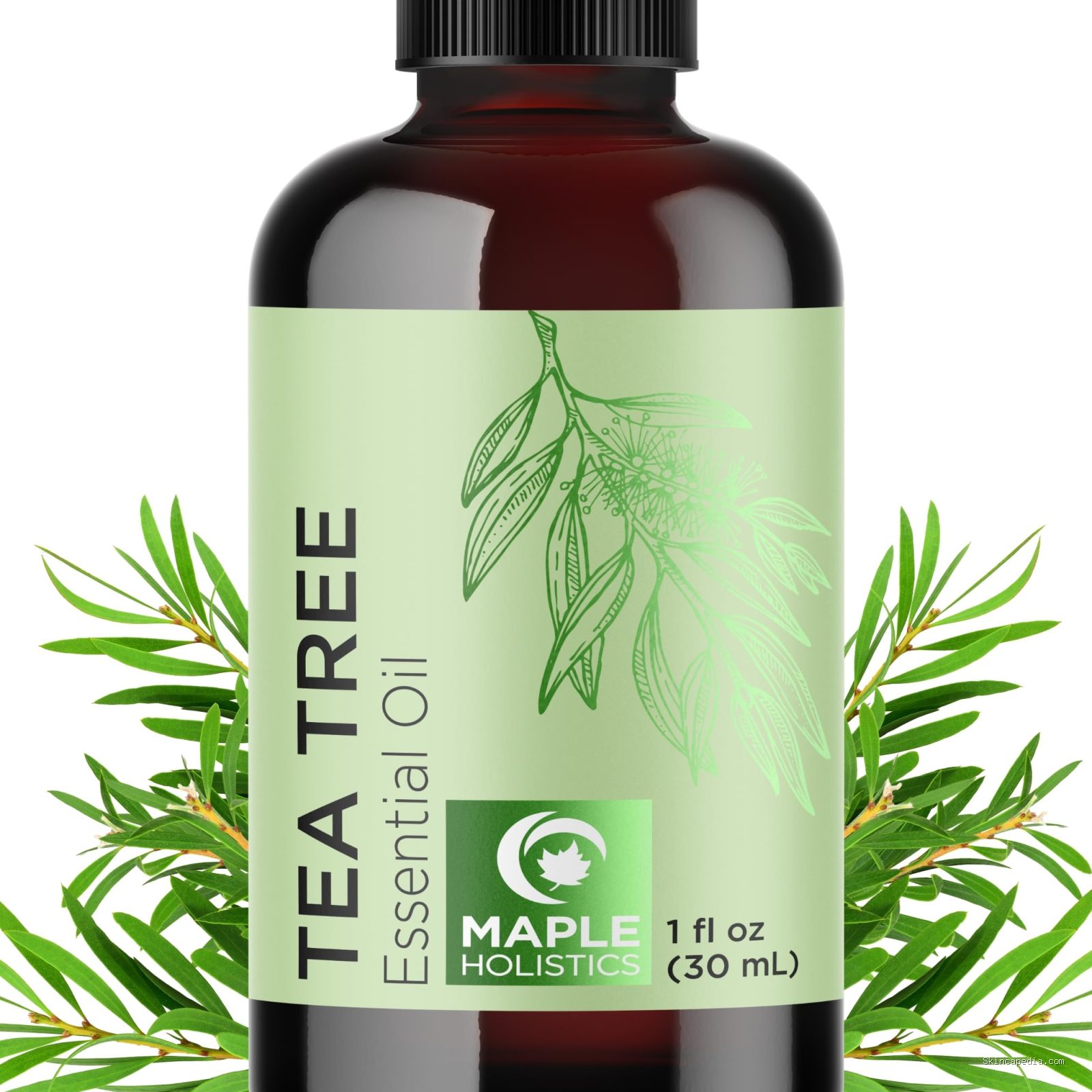 Photo by wellwhisk.com - Manfaat Tea Tree Oil untuk Mengatasi Jerawat dan Cara Pakainya