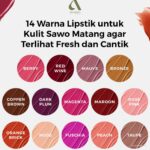 Photo by blog.avoskinbeauty.com - Panduan Memilih Warna Lipstik yang Cocok untuk Kulit Sawo Matang