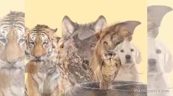 Tes kepribadian ilusi optik, gambar pertama yang dilihat ungkap sifat tersembunyi